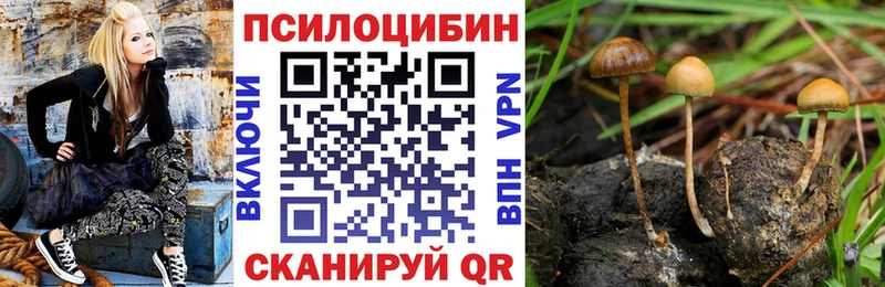 Галлюциногенные грибы Psilocybine cubensis  Чулым 